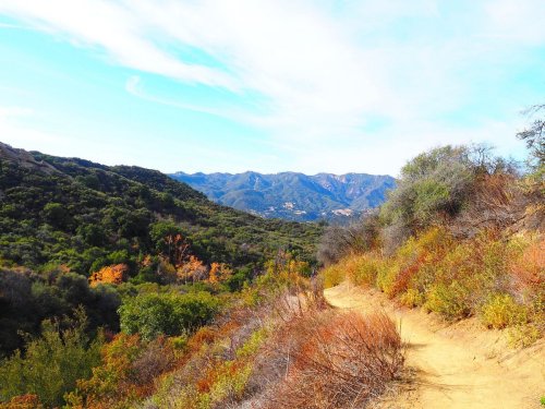A winding dirt path through colorful foliage, with mountains in the background under a clear blue sky.