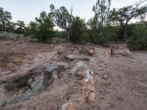 Rocky terrain with scattered boulders and sparse vegetation under a clear sky.