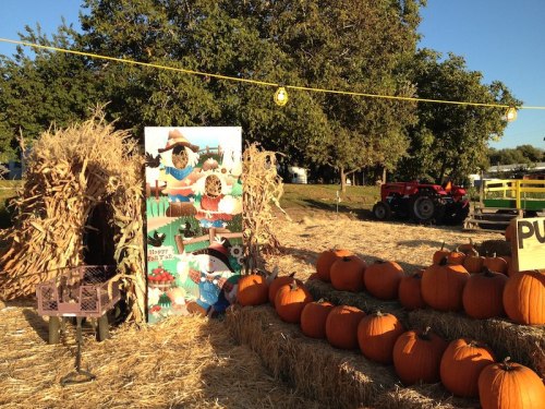 A pumpkin patch with hay bales, a colorful photo backdrop, and a tractor in the background under a clear blue sky.