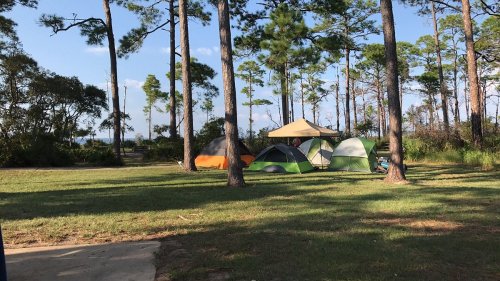 A campsite with several tents set up among tall pine trees and a grassy area, under a clear blue sky.