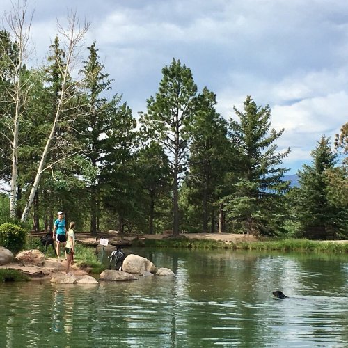 Two people stand by a pond surrounded by trees, with a dog swimming nearby under a partly cloudy sky.