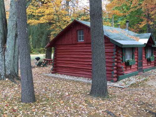 A red log cabin surrounded by trees with autumn leaves, featuring a picnic table and grill nearby.