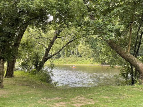 A serene river scene framed by trees, with a person kayaking in the distance.