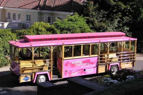 A pink sightseeing trolley parked on a street, surrounded by greenery and buildings.