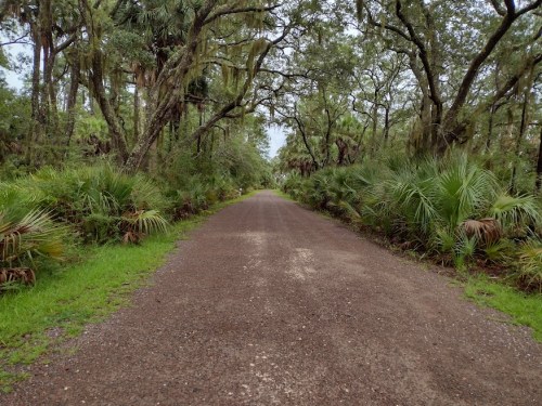 A gravel path surrounded by lush greenery and trees, leading into a serene, wooded area.