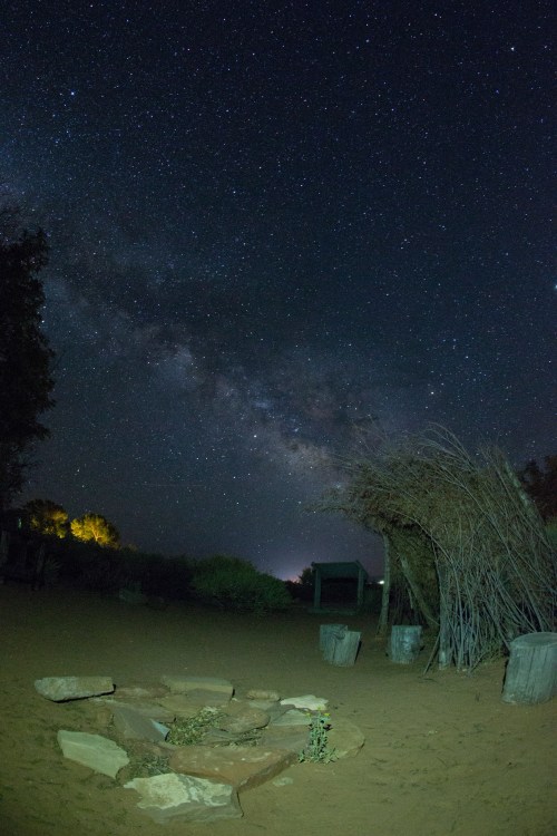 A starry night sky with the Milky Way, featuring a fire pit surrounded by desert vegetation.