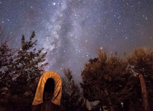 A starry night sky filled with the Milky Way, framed by trees and a tent in the foreground.