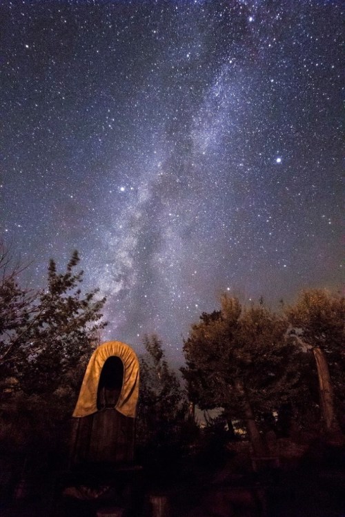 A starry night sky filled with the Milky Way, framed by trees and a covered structure in the foreground.