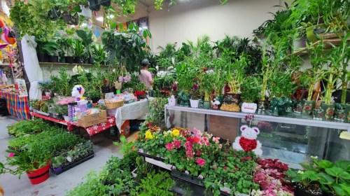 A vibrant indoor plant shop filled with various plants, flowers, and decorative items, creating a lush atmosphere.