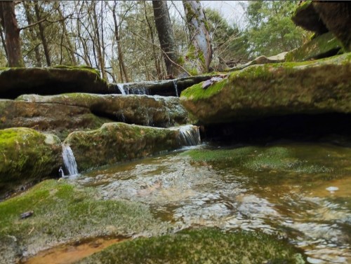 A serene forest scene featuring a small waterfall cascading over moss-covered rocks into a clear pool of water.