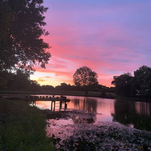 A serene lake at sunset, with vibrant pink and purple skies reflecting on the water and trees in the background.
