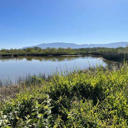A serene landscape featuring a calm lake surrounded by lush greenery and distant mountains under a clear blue sky.