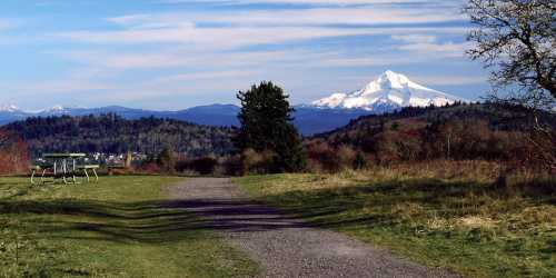 A scenic view of a mountain in the distance, with a grassy path and benches in the foreground under a blue sky.