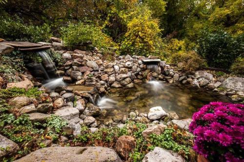 A serene garden pond surrounded by rocks, flowing water, and vibrant autumn foliage. A pink flower adds a pop of color.