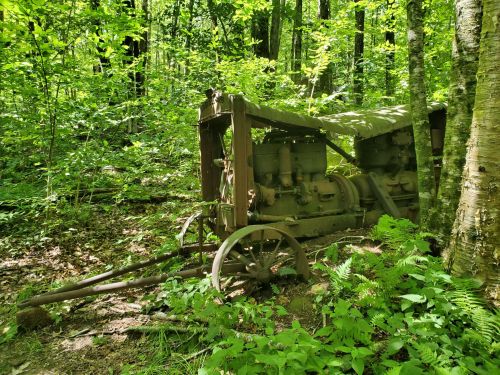 An old, rusty engine sits among lush green foliage in a forest, partially covered by trees and underbrush.