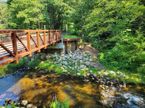 A wooden bridge spans a small stream, surrounded by lush greenery and rocky banks.