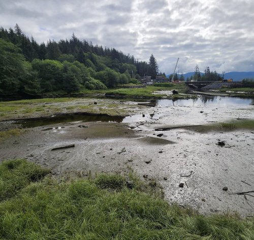 A serene landscape featuring a muddy shoreline, lush greenery, and a cloudy sky, with distant trees and buildings.