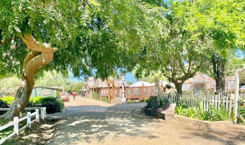 A sunny pathway lined with trees, leading to charming buildings and benches in a quaint outdoor setting.