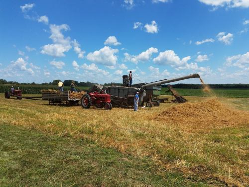 A vintage tractor and combine harvester work in a field, with workers loading harvested grain under a blue sky.