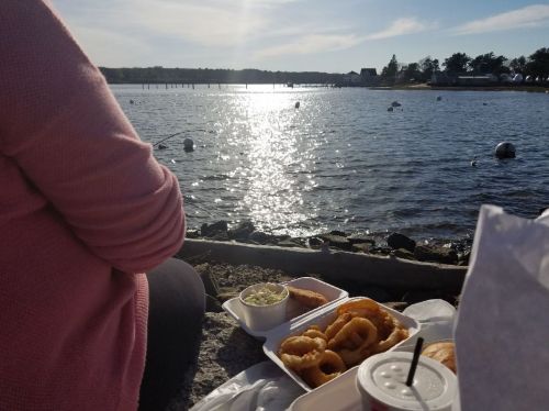 A person sits by the water, enjoying a meal of fried food with a scenic view of the sunlit lake and distant docks.