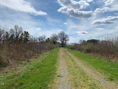 A gravel path stretches through a green landscape under a blue sky with fluffy clouds, with a person walking in the distance.