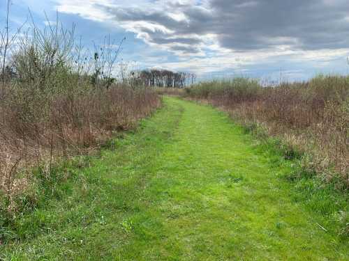 A grassy path winds through a field with sparse vegetation under a cloudy sky.