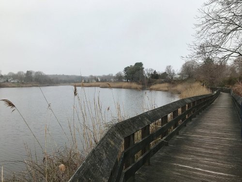 A wooden boardwalk curves along a calm lake, surrounded by tall grasses and bare trees under a gray sky.