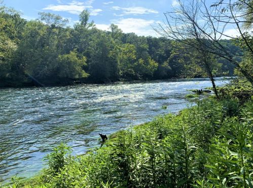 A serene river flows through a lush green landscape under a clear blue sky.