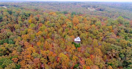 Aerial view of a solitary house surrounded by vibrant autumn foliage in a dense forest.