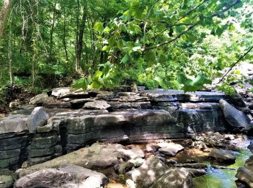 A rocky landscape surrounded by lush green trees and foliage, with a small stream flowing through the area.