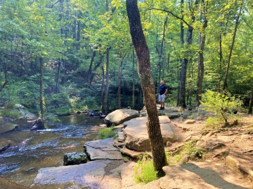 A person stands by a serene stream surrounded by lush green trees and rocky terrain in a forested area.