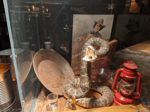 A coiled snake displayed in a glass case with vintage items, including a lantern and a poster of a woman in a cowboy hat.