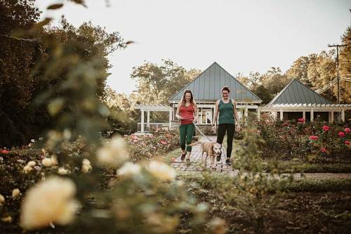 Two women walk a dog through a rose garden, with a house in the background and flowers in the foreground.