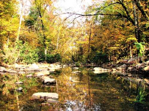 A serene stream surrounded by vibrant autumn foliage and smooth stones, reflecting the colorful trees above.