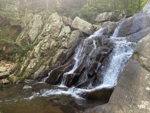 A serene waterfall cascading over rocky terrain, surrounded by lush greenery and sunlight filtering through the trees.