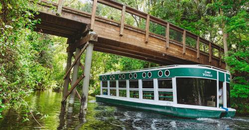 A green boat glides under a wooden bridge surrounded by lush greenery in a serene waterway.