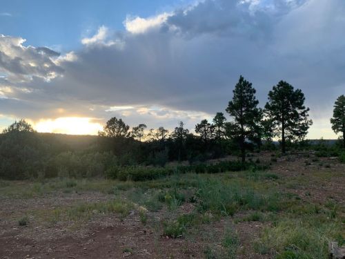 Sunset over a grassy landscape with scattered trees and a cloudy sky in the background.