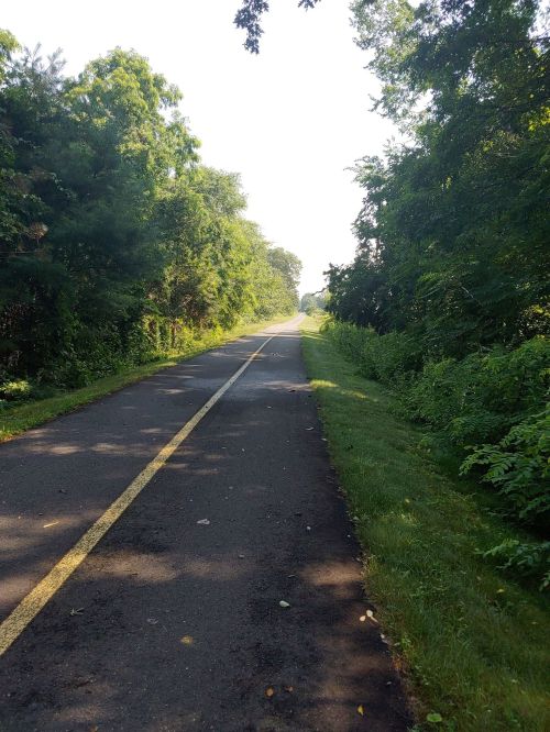 A peaceful, tree-lined path stretches into the distance, flanked by greenery on both sides.
