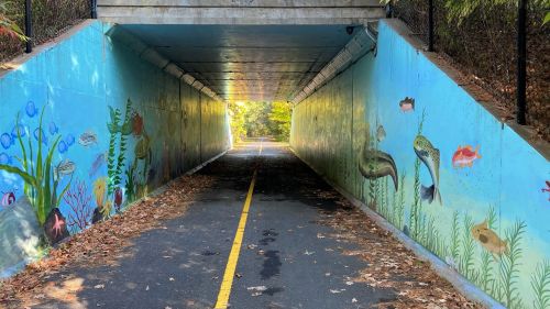 A colorful mural of fish and plants decorates a tunnel, leading to a bright path ahead, surrounded by fallen leaves.