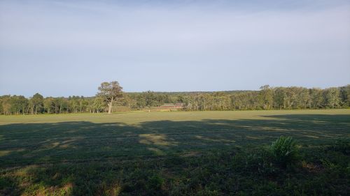 A wide view of a grassy field with trees in the background under a clear sky.