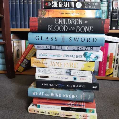 A stack of books on a shelf, including titles like "Jane Eyre," "1984," and "Children of Blood and Bone."