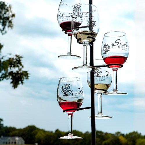 Four wine glasses filled with red wine, elegantly displayed on a stand against a scenic outdoor backdrop.