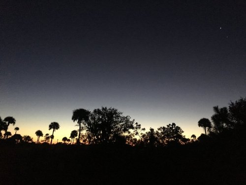 Silhouette of palm trees against a twilight sky, transitioning from dark blue to warm orange near the horizon.