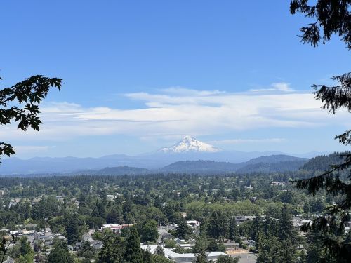 A panoramic view of a valley with trees and buildings, featuring a snow-capped mountain in the distance under a blue sky.