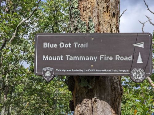 Sign on a tree indicating the Blue Dot Trail and Mount Tammany Fire Road, funded by the FHWA Recreational Trails Program.