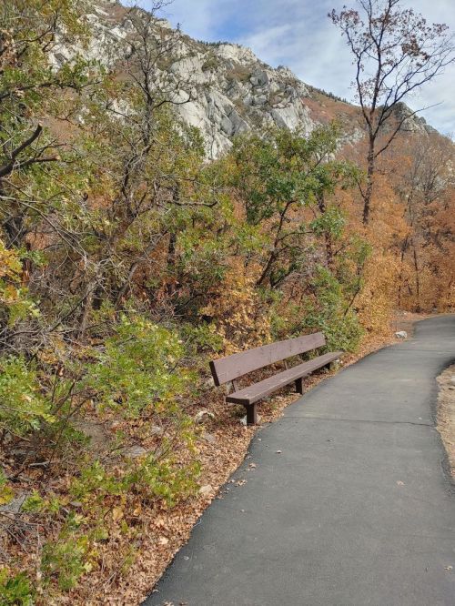 A winding path through autumn foliage, with a wooden bench beside it and rocky mountains in the background.