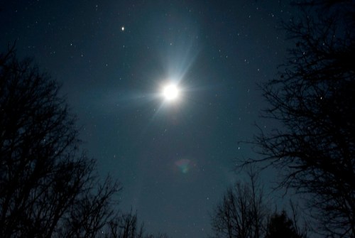 A bright moon shines in a starry night sky, surrounded by silhouetted trees.