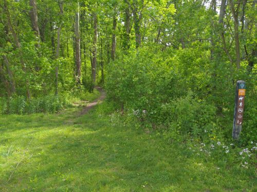 A narrow path through lush green trees and bushes, with a trail marker on the right.