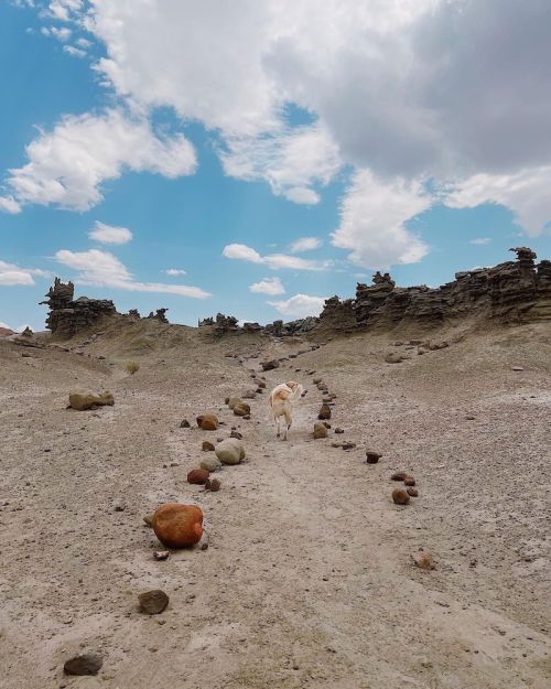 A dog walks along a rocky path in a barren landscape under a blue sky with scattered clouds.
