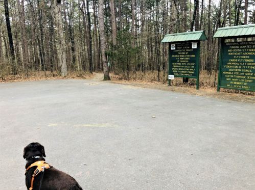 A dog stands on a path in a wooded area, facing two informational signs about the trails ahead.